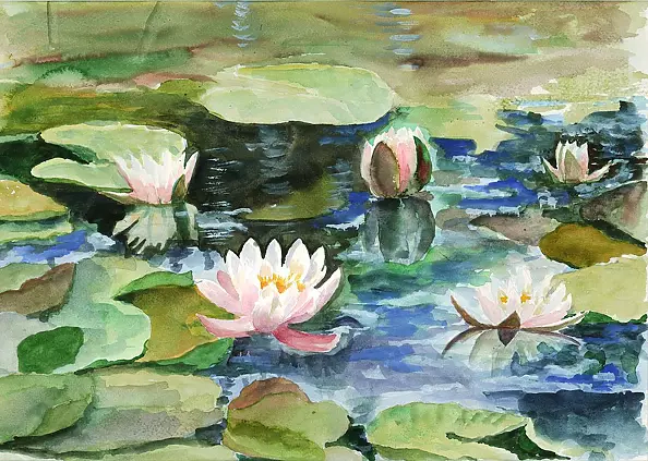 Zdzisław Rutkowski - Water lilies