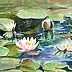 Zdzisław Rutkowski - Water lilies