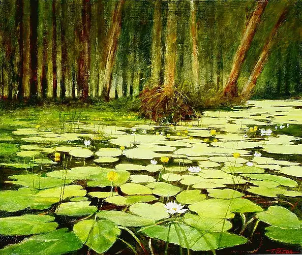 Tadeusz Gazda - Kwiaty wodne