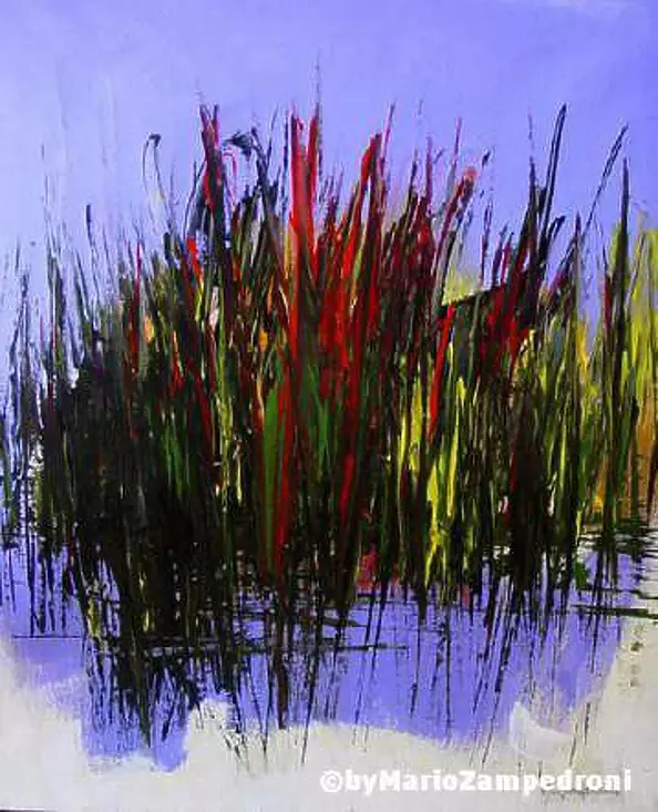 Mario Zampedroni - Water grass 