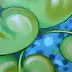 federico cortese - Wasserlilien