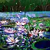 Mario Zampedroni - Waterlilies 2007