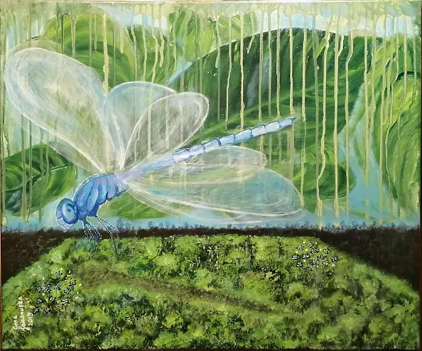 Anna Jakubowska - Dragonfly 1