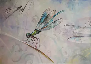 Paweł Wołos - Dragonfly