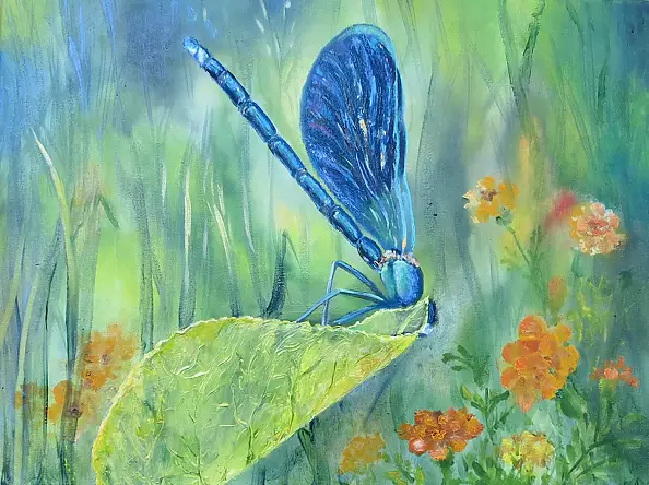 Urszula Nieborak - Dragonfly