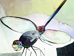   - "Dragonfly -helikopter"