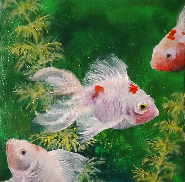 Marta Milewska - Veils