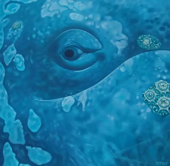 John Ives - Whale eye