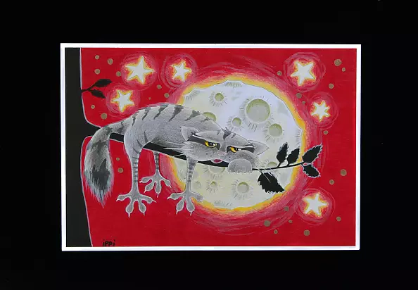 Paulina Rogalska - What a night