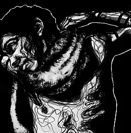 Arkadiusz Twardowski - White Foxes