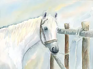 Zdzisław Rutkowski - "Siwka" the fence