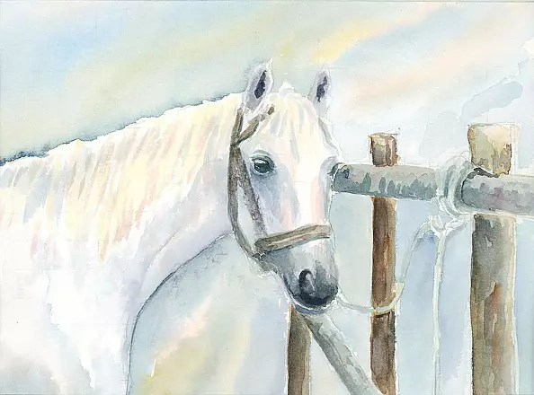 Zdzisław Rutkowski - "Siwka" the fence