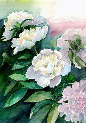 Zdzisław Rutkowski - Białe piwonie