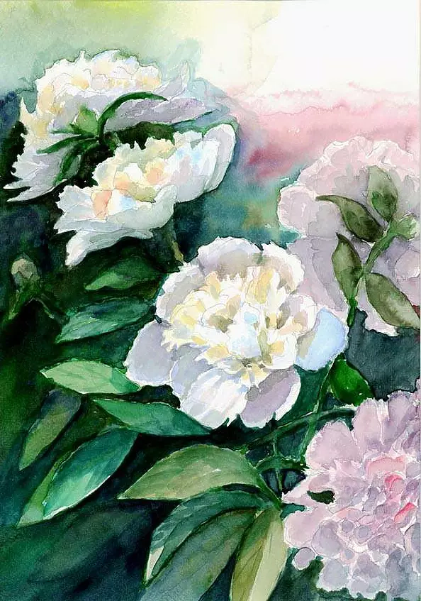 Zdzisław Rutkowski - Białe piwonie