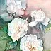 Zdzisław Rutkowski - White roses