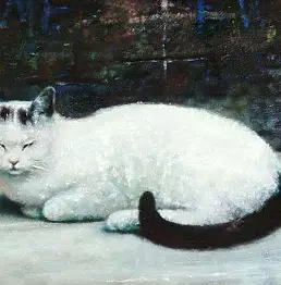 Piotr Pilawa - White cat