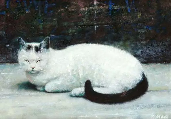 Piotr Pilawa - White cat
