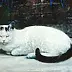 Piotr Pilawa - weiße Katze