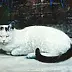 Piotr Pilawa - White cat