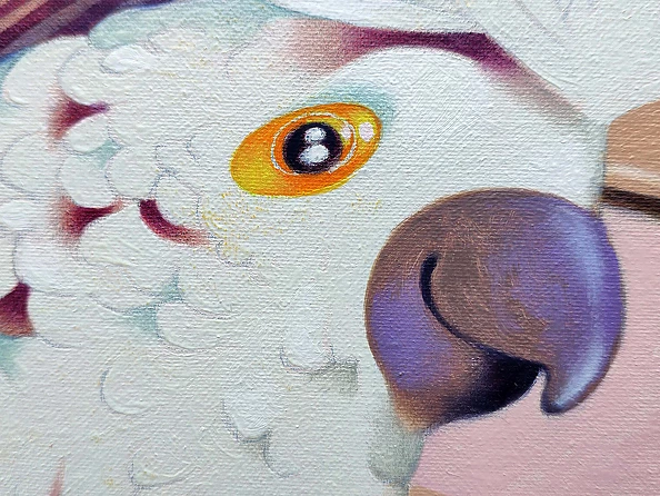 federico cortese - White cockatoo and black tulips