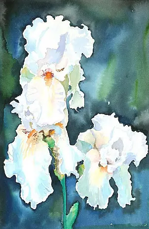 Zdzisław Rutkowski - Irises and white on a dark background