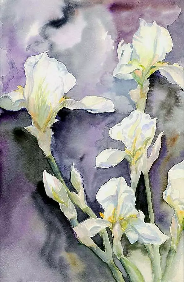 Zdzisław Rutkowski - Irises white on a purple background