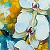Olha Darchuk - White orchid