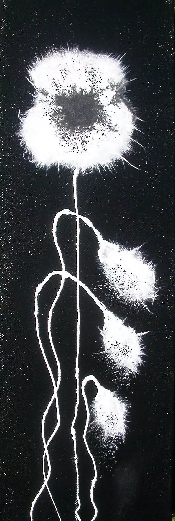 Rachel McCullock - White poppies