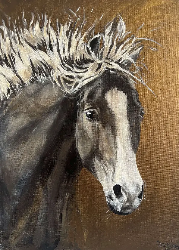 Joanna Szcześniewska - Wind