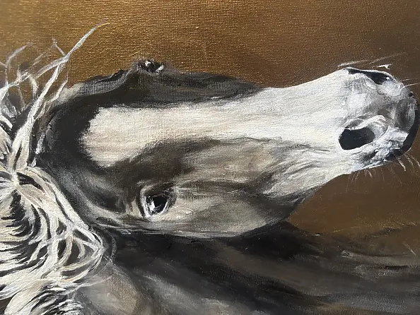 Joanna Szcześniewska - Wind