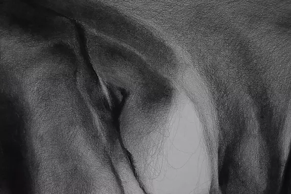 Kamila Ossowska - Wind