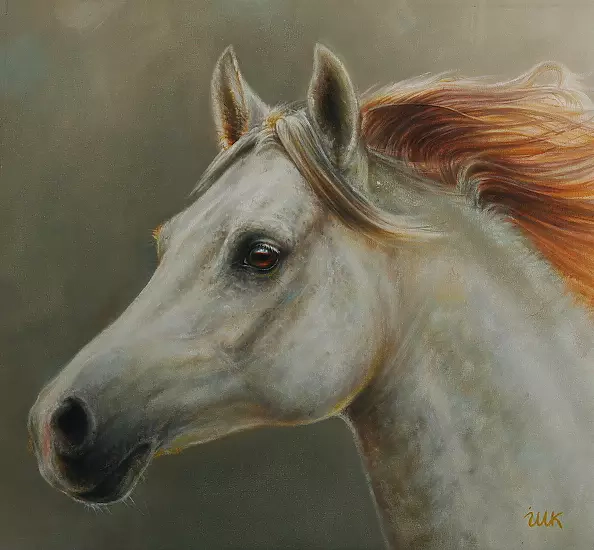 Marzena Zuk - Wind in the mane