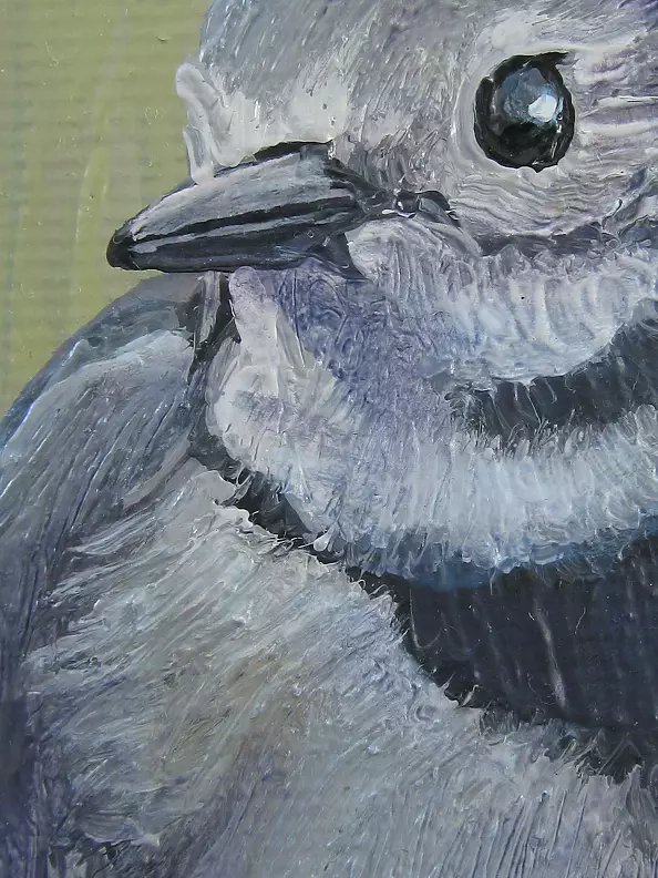 Wojciech Pater - View of the Bystrzyckie Mountains from the Hat Rock with the White Wagtail