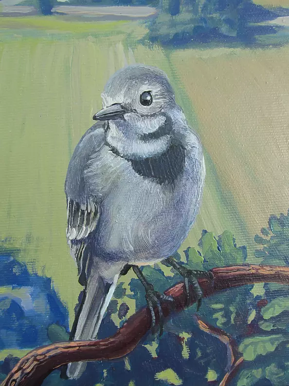 Wojciech Pater - View of the Bystrzyckie Mountains from the Hat Rock with the White Wagtail