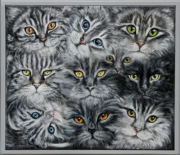 Katarzyna Niemczak - Widzę Cię