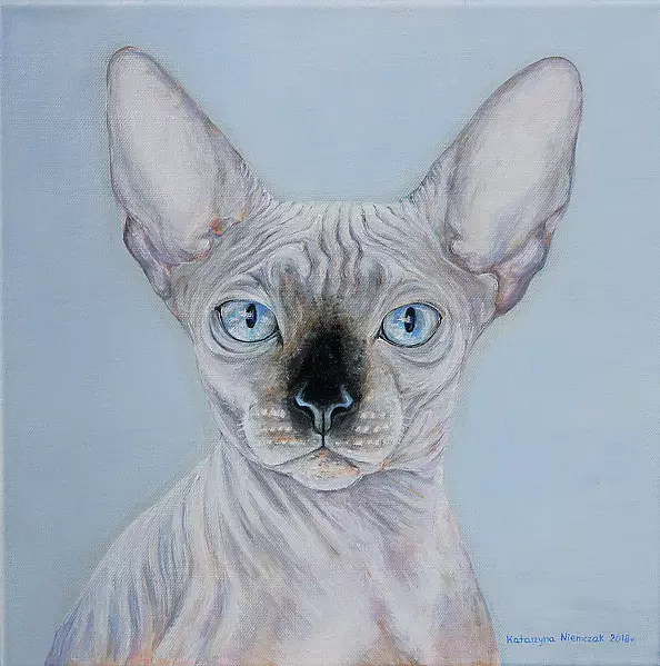 Katarzyna Niemczak - Widzę Cię