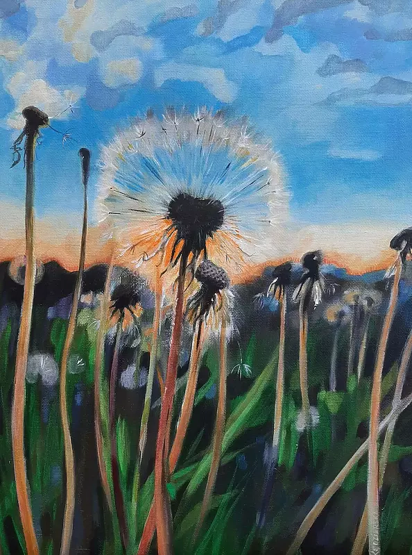 Dorota Kędzierska - Wieczorna łąka