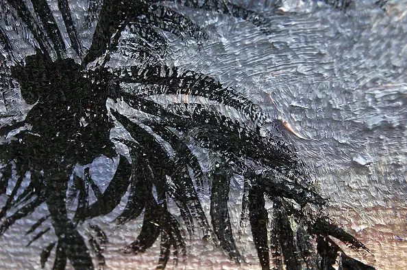 Amelia Augustyn - Evening beach