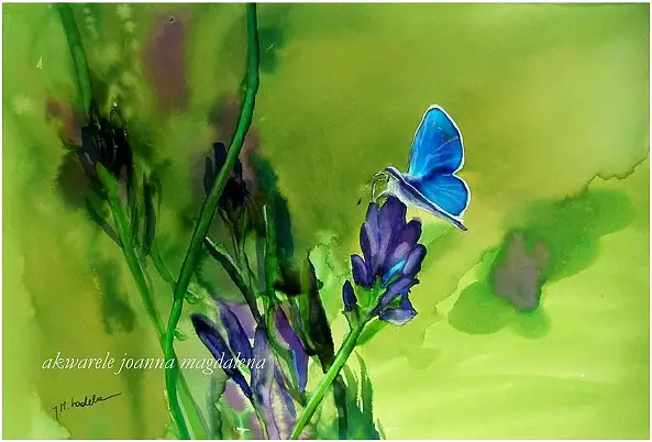 Joanna Magdalena - Great blue