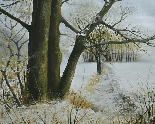 Elżbieta Szlachta - Wielkopolskie Lasy II