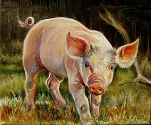 Małgorzata Wójtowicz Cichoń - Hog