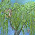 Elżbieta Goszczycka, Il salice che non ride, Quadro a olio - tela, 50 x 50