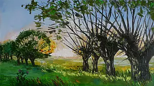 Dorota Łaz - Willows