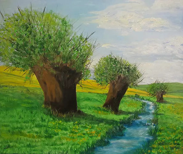 Emilia Lewandowska - willow