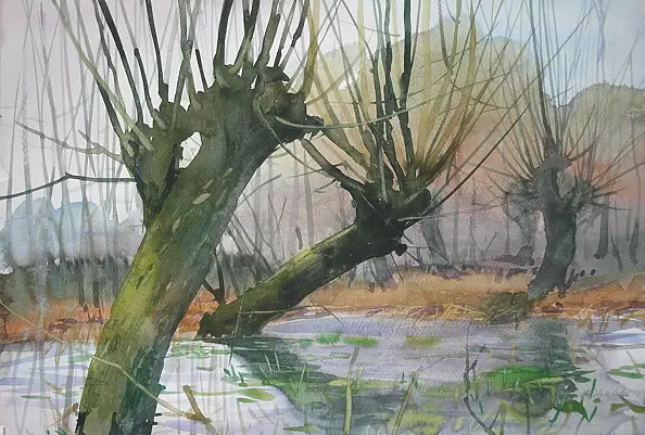 Krzysztof Michalski - Wierzby na mokradłach
