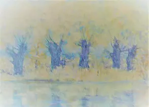 Barbara Przyborowska - Wierzby nad Kanałem Elbląskim