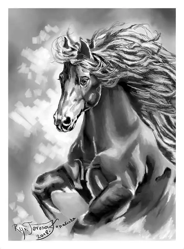 Teresa Kopańska - A windy aristocrat