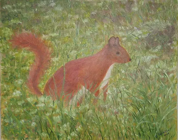 Antonina Radzięda - squirrel