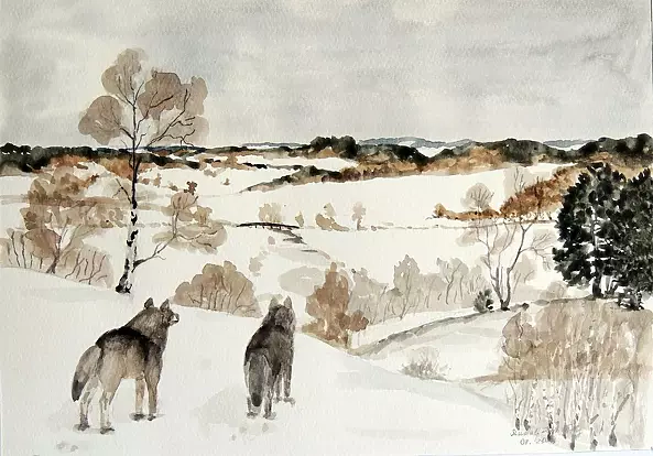 Rudolf Zmełty - Wilczy rekonesans