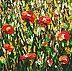 Massimo Spolon - Полевые цветы